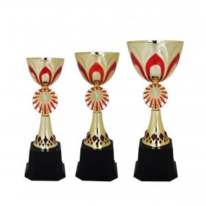 Acrylic Trophy AC4003