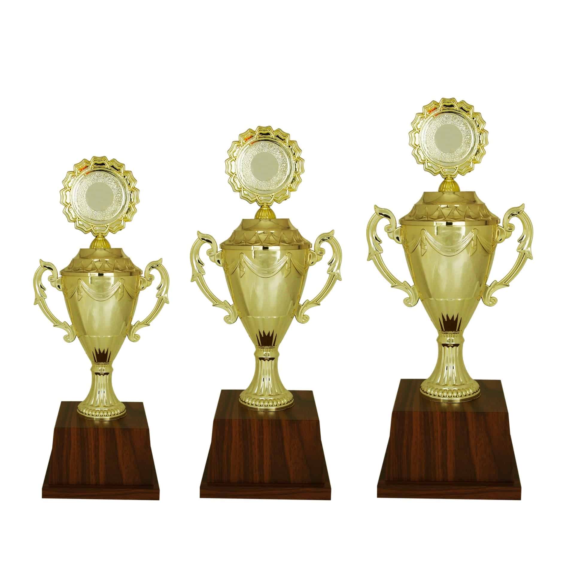 Acrylic Trophy Acrylic Trophy (Golden) AC4007 Acrylic Trophy (Golden) AC4007