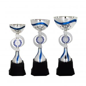 Acrylic Trophy AC4010