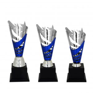 Acrylic Star Trophy AC4011