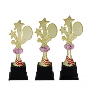 Acrylic Trophy Acrylic Star Trophy AC4014 Acrylic Star Trophy AC4014