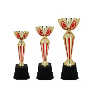 Acrylic Trophy AC4021