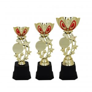 Acrylic Star Trophy AC4024