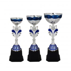 Acrylic Trophy (Silver) AC4035