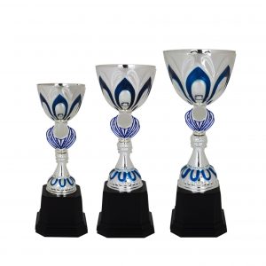Acrylic Trophy Acrylic Trophy (Silver) AC4051 Acrylic Trophy (Silver) AC4051