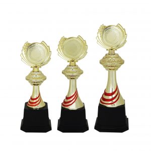 Acrylic Trophy (Golden) AC4064