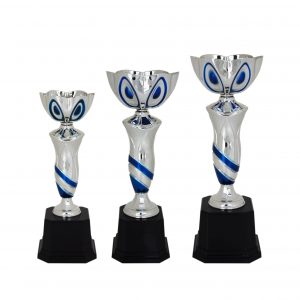 Acrylic Trophy Acrylic Trophy (Silver) AC4066 Acrylic Trophy (Silver) AC4066