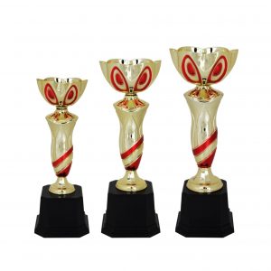 Acrylic Trophy (Cup) AC4067