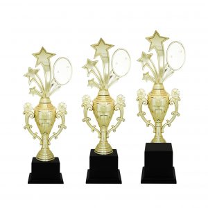 Acrylic Trophy Acrylic Star Trophy (Flower) AC4079 Acrylic Star Trophy (Flower) AC4079