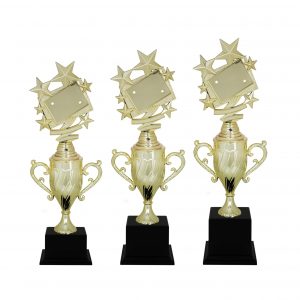 Acrylic Star Trophy AC4080