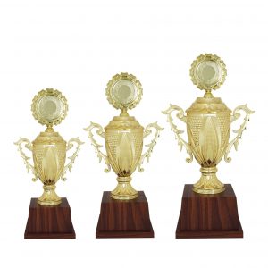 Acrylic Trophy (Golden) AC4083