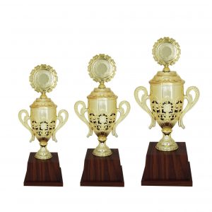 Acrylic Trophy (Golden) AC4084
