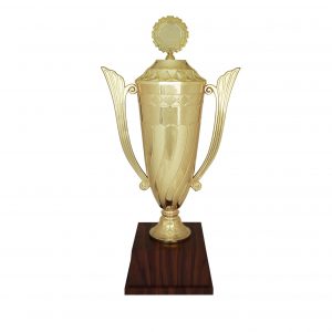 Acrylic Trophy (Golden) AC4089