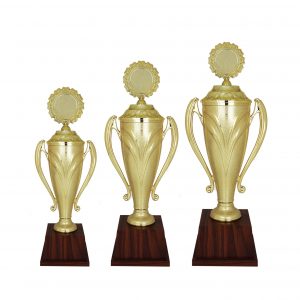 Acrylic Trophy (Golden) AC4090