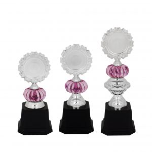 Acrylic Trophy AC4093
