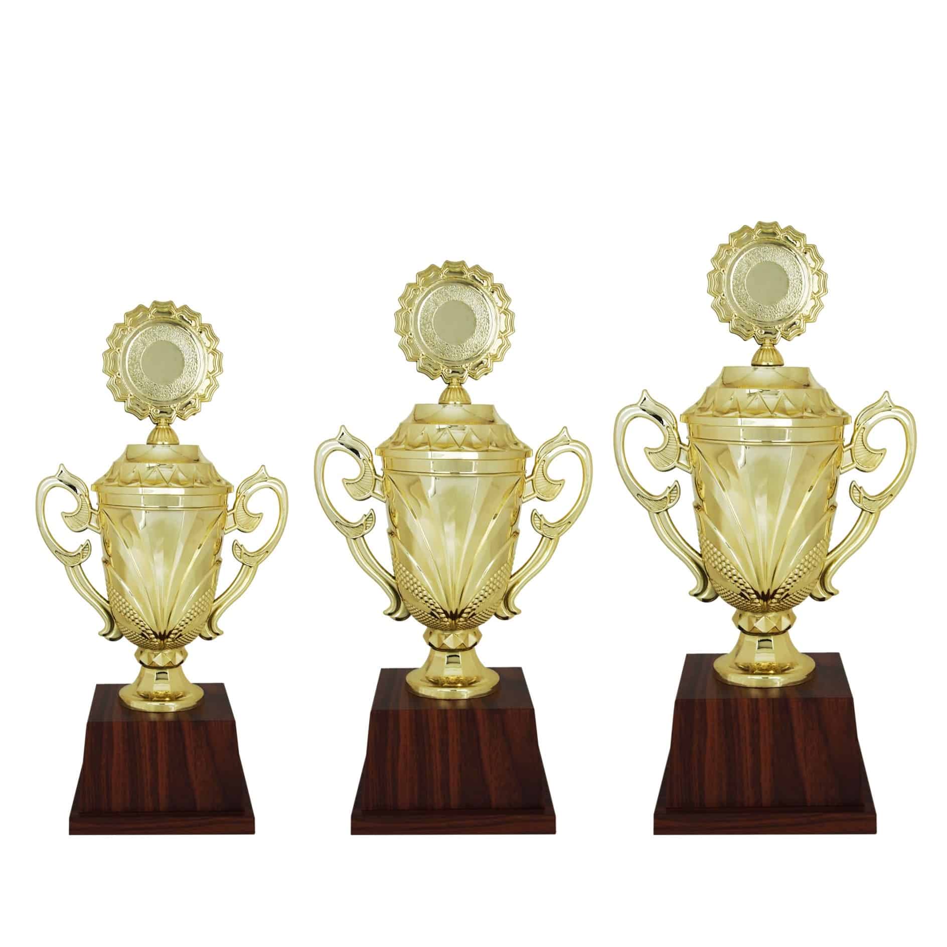 Acrylic Trophy Acrylic Trophy (Golden) AC4094 Acrylic Trophy (Golden) AC4094