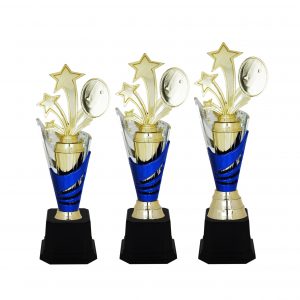 Acrylic Star Trophy AC4095