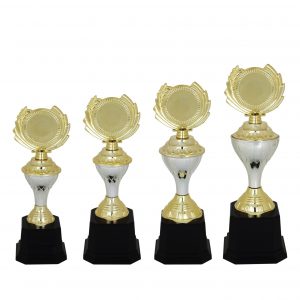 Acrylic Trophy (Golden) AC4098