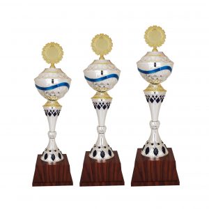Acrylic Trophy AC4101