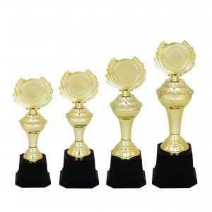 Acrylic Trophy (Golden) AC4104