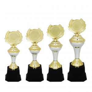 Acrylic Trophy AC4106