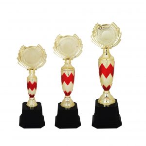 Acrylic Trophy AC4112