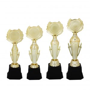 Acrylic Trophy AC4114