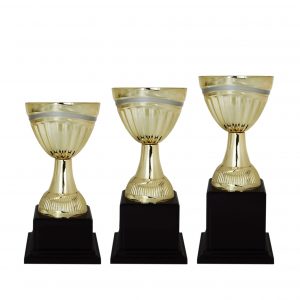 Acrylic Trophy AC4121