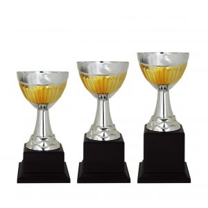 Acrylic Trophy AC4122