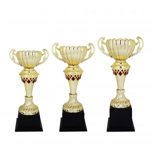 Acrylic Trophy Acrylic Trophy AC4123 Acrylic Trophy AC4123
