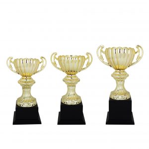 Acrylic Trophy Acrylic Trophy AC4124 Acrylic Trophy AC4124