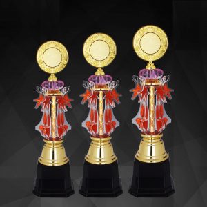 Acrylic Trophy Acrylic Trophy AC4131 Acrylic Trophy AC4131