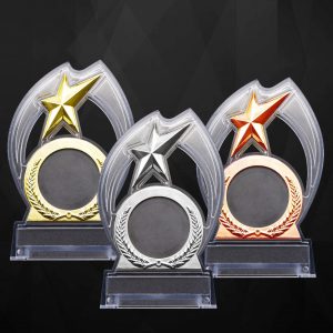 Acrylic Plaques Acrylic Plaque (Star) AC4172 Acrylic Plaque (Star) AC4172