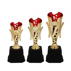 Acrylic Trophy Acrylic Trophy AC4181 Acrylic Trophy AC4181