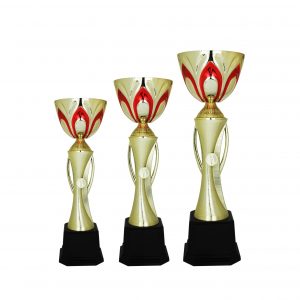 Acrylic Trophy Acrylic Trophy AC4189 Acrylic Trophy AC4189
