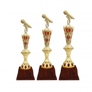 Acrylic Trophy Microphone Trophy AC4195 Microphone Trophy AC4195