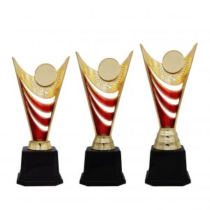 Acrylic Trophy Acrylic Trophy AC4203 Acrylic Trophy AC4203
