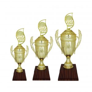 Acrylic Trophy AC4206