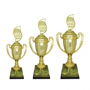 Acrylic Trophy AC4207