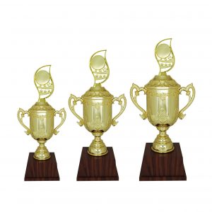 Acrylic Trophy AC4209
