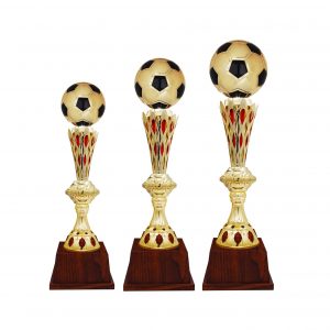 Acrylic Trophy Football Trophy AC4225 Football Trophy AC4225