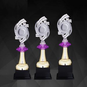 Acrylic Trophy Acrylic Trophy AC4246 Acrylic Trophy AC4246
