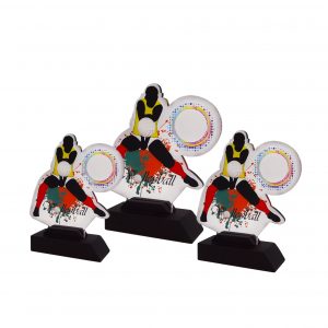 Acrylic Plaque (Volleyball) AC4252