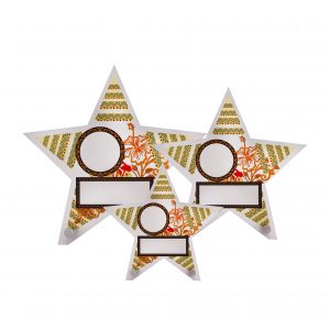 Acrylic Plaque (Star) AC4262