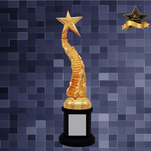 Star Sculpture Trophy AC4279