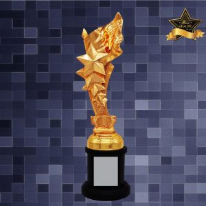 Star Sculpture Trophy AC4286