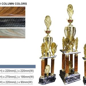 Acrylic Trophy Acrylic Challenge Trophy AC4308 Acrylic Challenge Trophy AC4308
