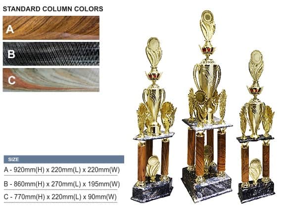 Acrylic Trophy Acrylic Challenge Trophy AC4308 Acrylic Challenge Trophy AC4308