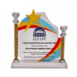Crystal Plaque CR3081