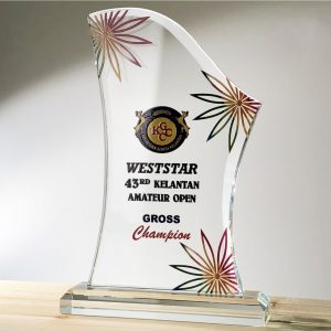 Crystal Plaque CR3092